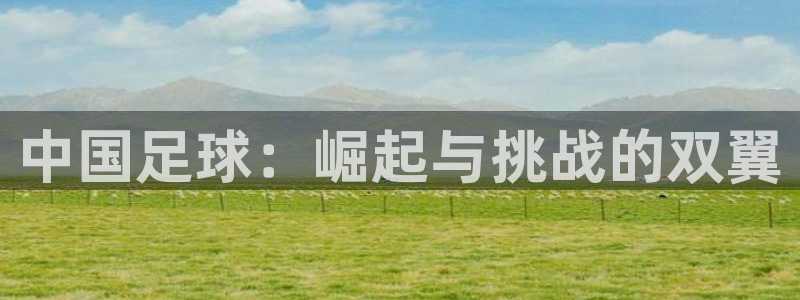 中国足球：崛起与挑战的双翼