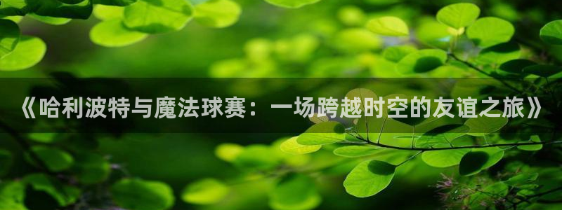 《哈利波特与魔法球赛：一场跨越时空的