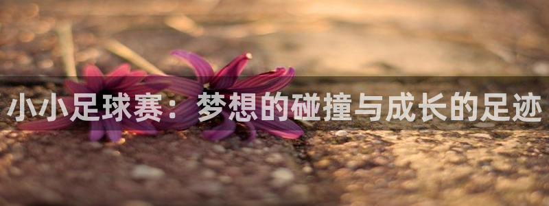 小小足球赛：梦想的碰撞与成长的足迹