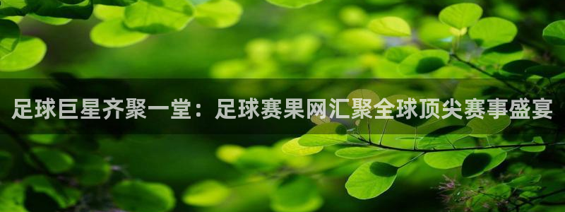 足球巨星齐聚一堂：足球赛果网汇聚全球顶尖赛事盛宴