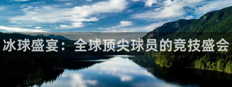 冰球盛宴：全球顶尖球员的竞技盛会