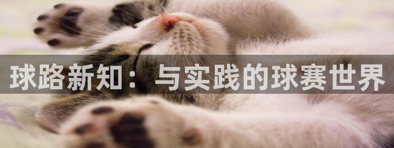 球路新知：与实践的球赛世界