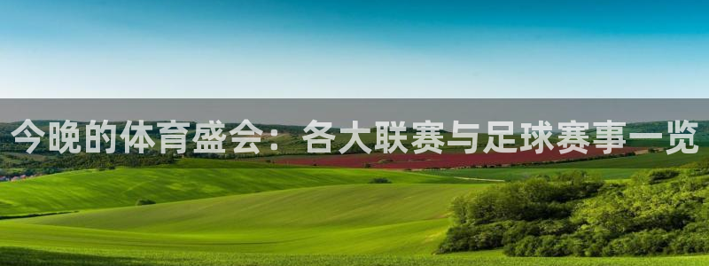 国际米兰体育场：今晚的体育盛会：各大
