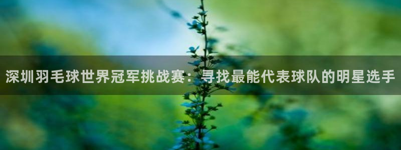  北京米兰体育文化发展有限公司：深圳羽毛球世界冠军挑战赛：寻找
