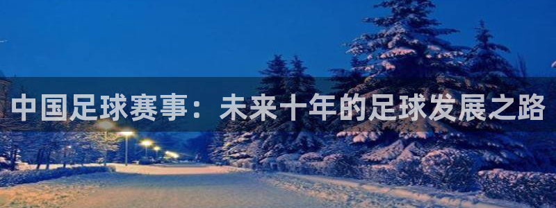米兰体育报古利特：中国足球赛事：未来十年的足球发展之路