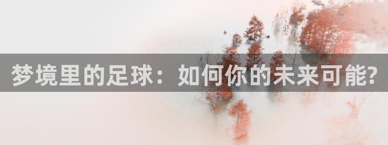 米兰体育场建设计划：梦境里的足球：如