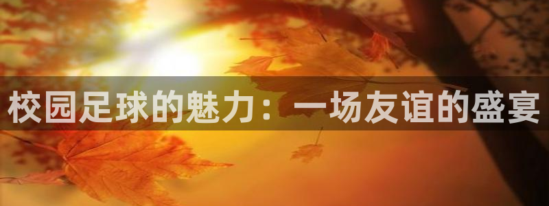  米兰体育官网：校园足球的魅力：一场友谊的盛宴