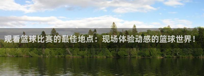 米兰体育报米兰尤文赛后评分：观看篮球