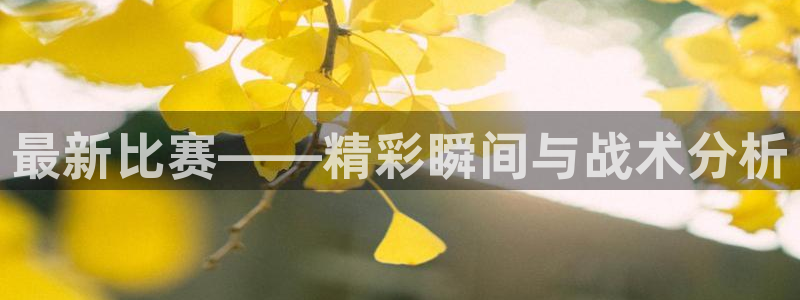  米兰体育俱乐部怎么样：最新比赛——精彩瞬间与战术分析