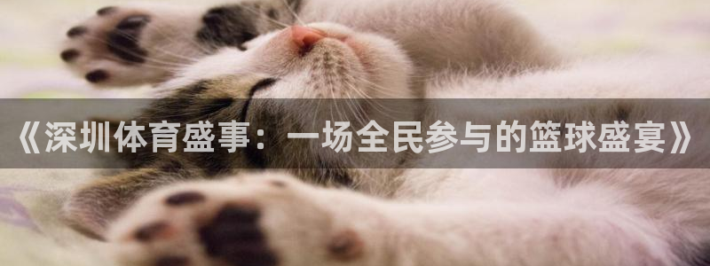  米兰体育场叫什么名字：《深圳体育盛事：一场全民参与的篮球盛宴