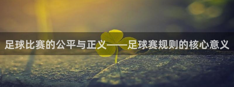  米兰体育极速提款待出款需要多久才能提现：足球比赛的公平与正义