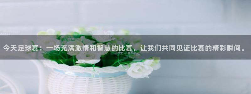  米兰体育场英文怎么说：今天足球赛：一场充满激情和智慧的比赛，