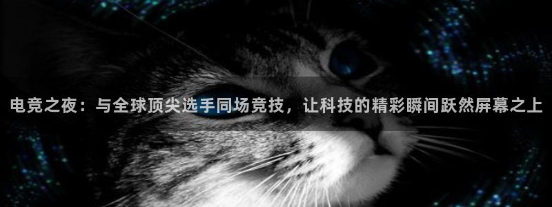  米兰体育场英文：电竞之夜：与全球顶尖选手同场竞技，让科技的精