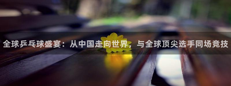 米兰体育法人代表是谁：全球乒乓球盛宴