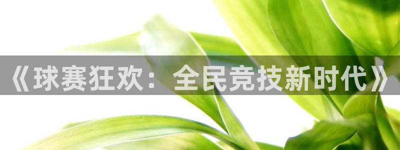 米兰体育平台：《球赛狂欢：全民竞技新