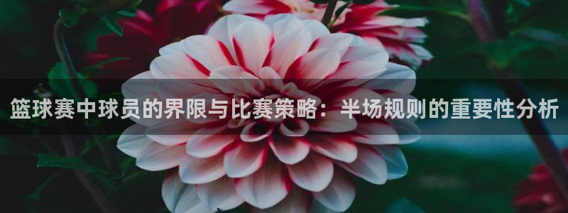 米兰体育网址：篮球赛中球员的界限与比赛策略：半场规则的重要性