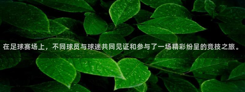  米兰体育报个人画册：在足球赛场上，不同球员与球迷共同见证和参